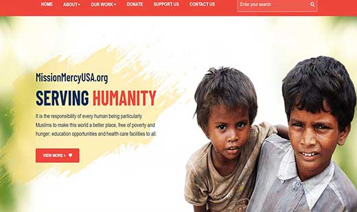 US Based NGO Website developer in south Delhi