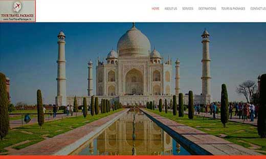 Tour Travel Packages Website developer in south Delhi